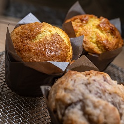 muffins250 muffins250