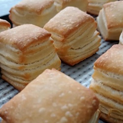 BIZCOCHOS 250