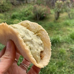 TACOS 250